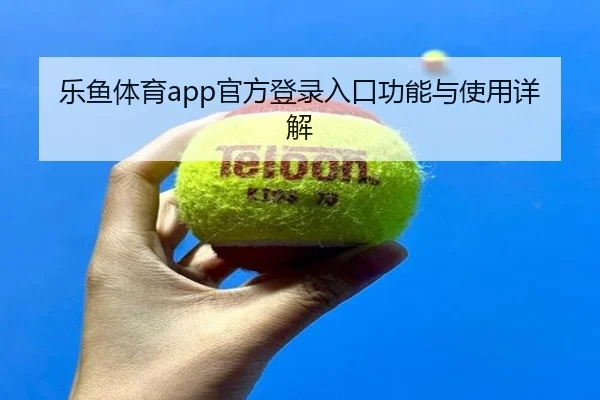 乐鱼体育app官方登录入口功能与使用详解