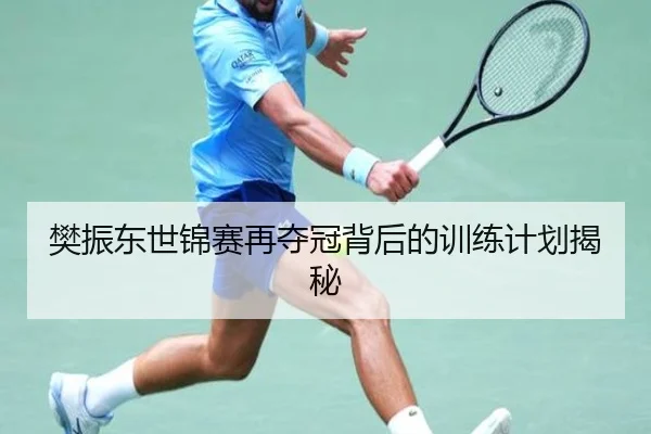 樊振东世锦赛再夺冠背后的训练计划揭秘